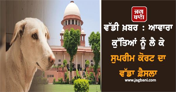 supreme court big decision on stray dogs