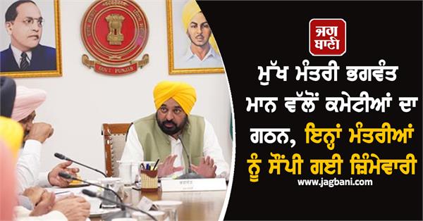 bhagwant mann committees minister