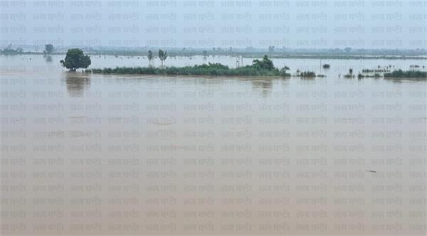 punjab  districts  beas river  pong dam