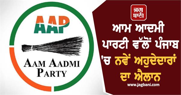 aap punjab new appointments