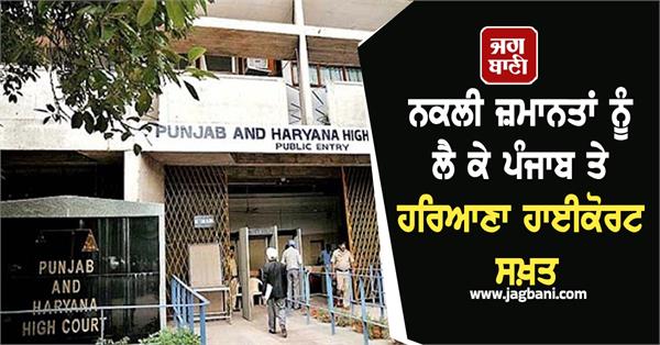 punjab and haryana highcourt strict on fake bails