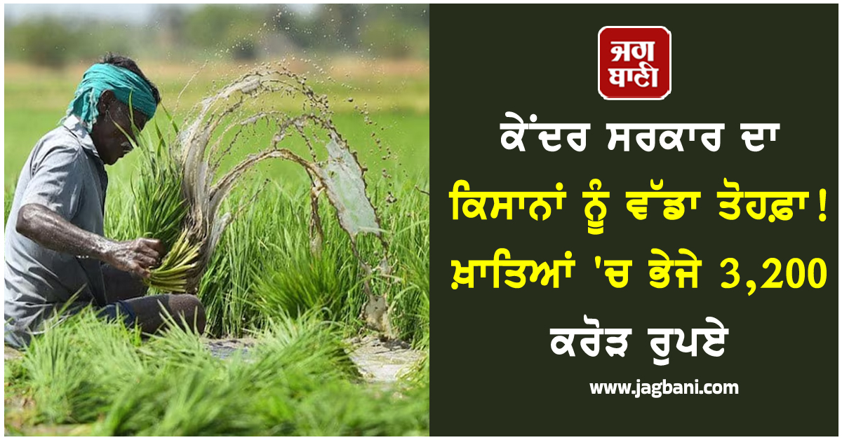 ਕੇਂਦਰ ਸਰਕਾਰ ਦਾ ਕਿਸਾਨਾਂ ਨੂੰ ਵੱਡਾ ਤੋਹਫ਼ਾ ! ਖ਼ਾਤਿਆਂ ''ਚ ਭੇਜੇ 3,200 ਕਰੋੜ ਰੁਪਏ