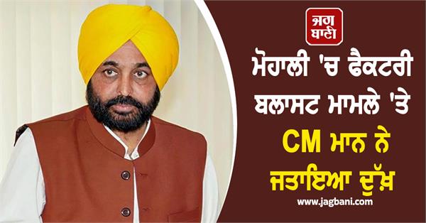 cm bhagwant mann expresses grief factory blast incident in mohali