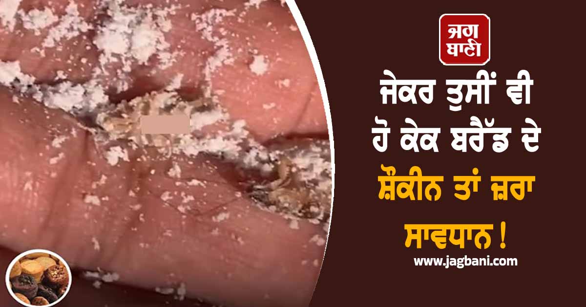 ਜੇਕਰ ਤੁਸੀਂ ਵੀ ਹੋ ਕੇਕ ਬਰੈੱਡ ਦੇ ਸ਼ੌਕੀਨ ਤਾਂ ਜ਼ਰਾ ਸਾਵਧਾਨ! ਹੋਸ਼ ਉਡਾ ਦੇਵੇਗੀ ਇਹ ਖ਼ਬਰ