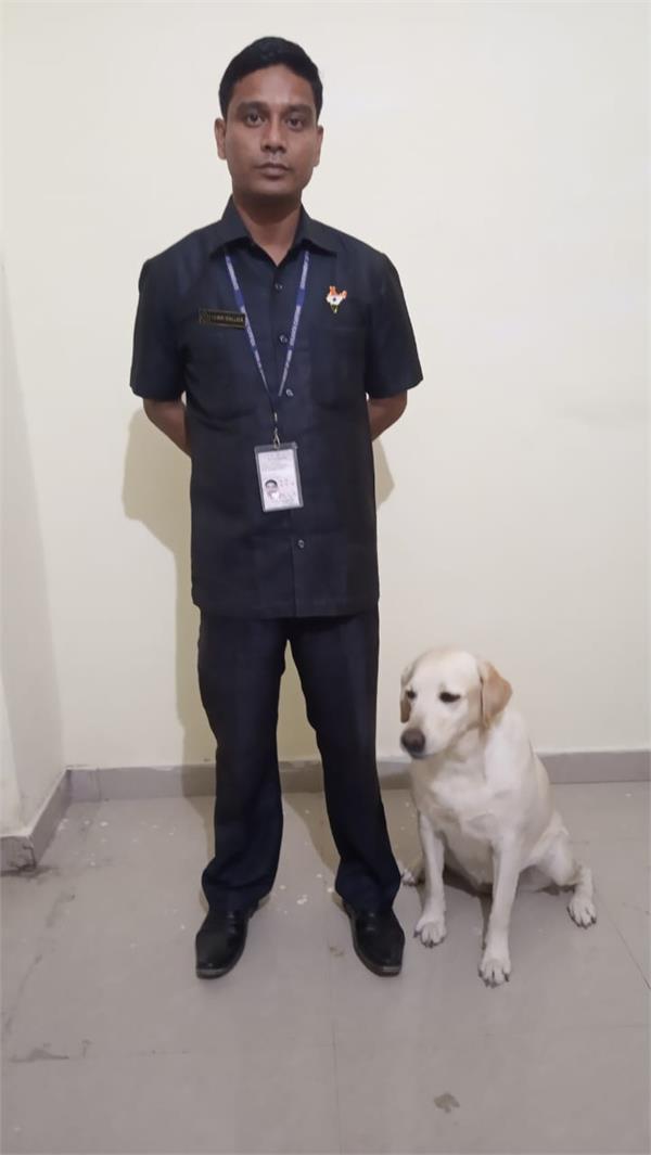 customs department sets up   puppy nursery   at jcp attari