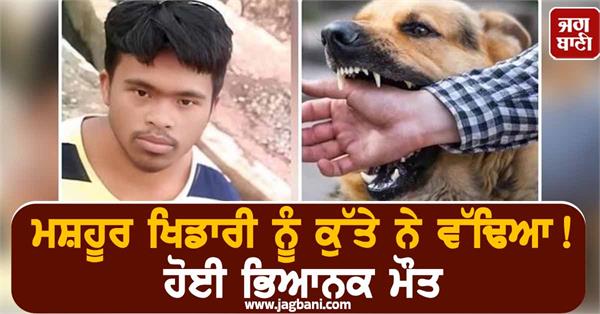 stray dog attacks famous sportsperson severely bites