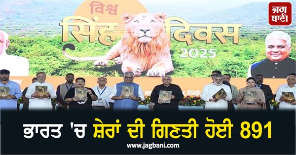 lions in india