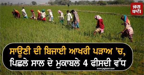 sowing of sauni in final stage  4 percent more than last year