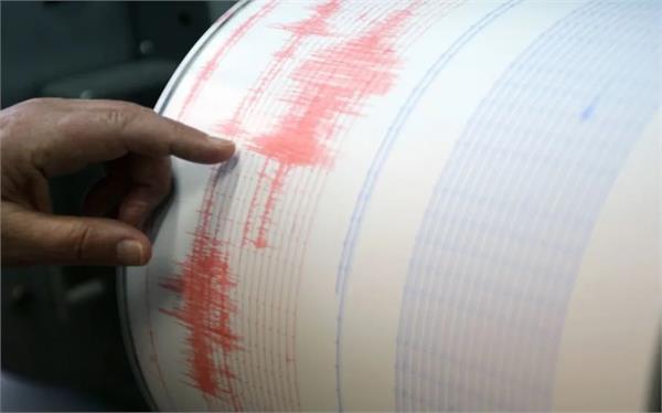 earthquake strikes in new zealand