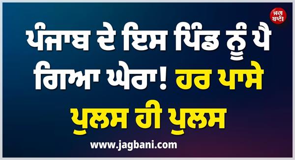 punjab village police