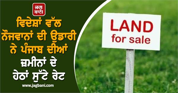 down the rates of punjab s land
