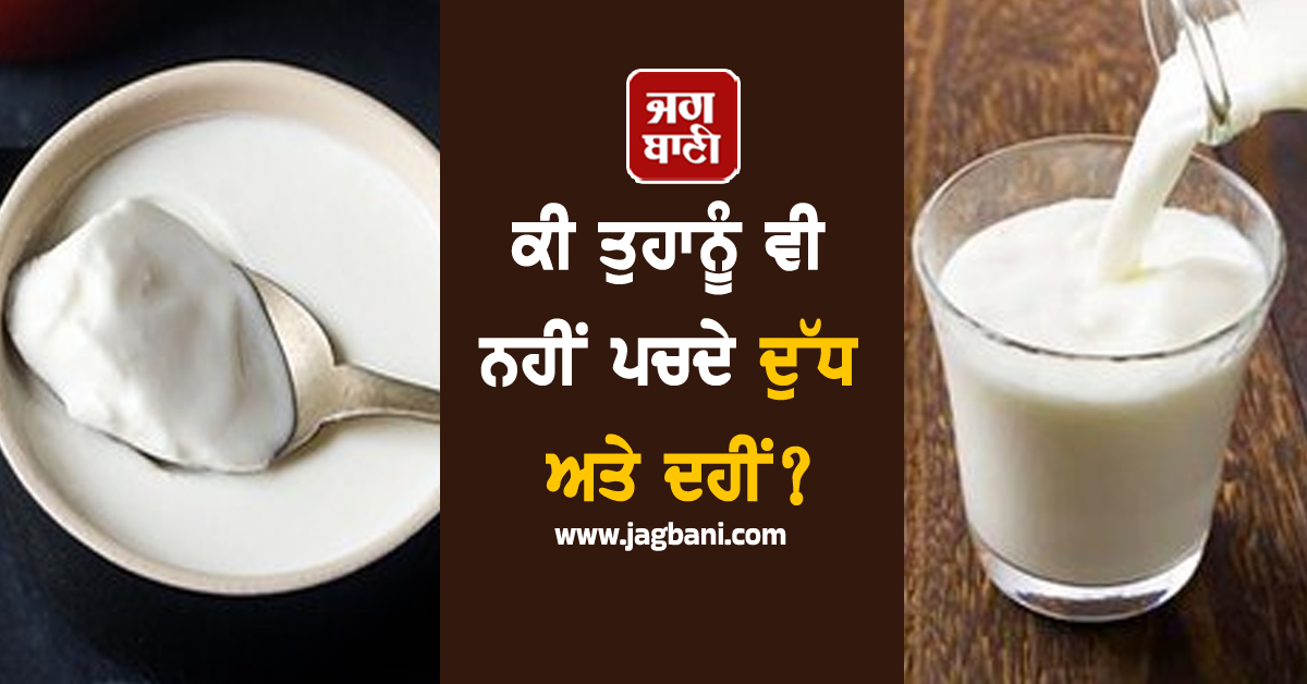 ਕੀ ਤੁਹਾਨੂੰ ਵੀ ਨਹੀਂ ਪਚਦੇ ਦੁੱਧ ਅਤੇ ਦਹੀਂ? ਜਾਣੋ ਵਜ੍ਹਾ ਤੇ ਅਪਣਾਓ ਇਹ ਸਾਵਧਾਨੀਆਂ