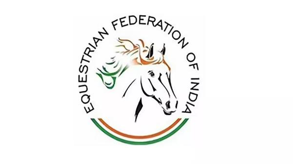 delhi high court stays efi  s proposed meeting on sunday