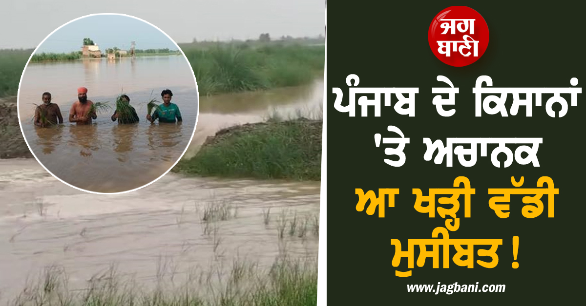 ਪੰਜਾਬ ਦੇ ਕਿਸਾਨਾਂ 'ਤੇ ਅਚਾਨਕ ਆ ਖੜ੍ਹੀ ਵੱਡੀ ਮੁਸੀਬਤ! ਪਾਣੀ 'ਚ ਡੁੱਬੀ ਫ਼ਸਲ, ਆਰਜੀ ਬੰਨ੍ਹ ਟੁੱਟਣੇ ਸ਼ੁਰੂ