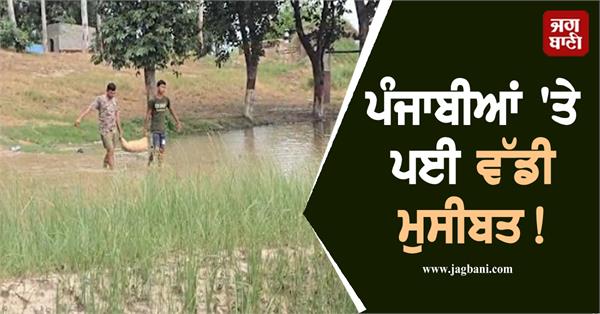 a big problem for punjabis 