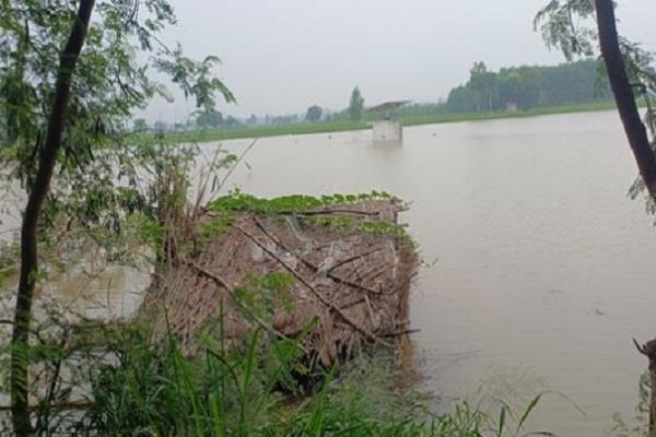 pong dam water