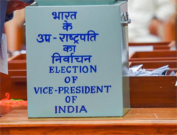 vice president election