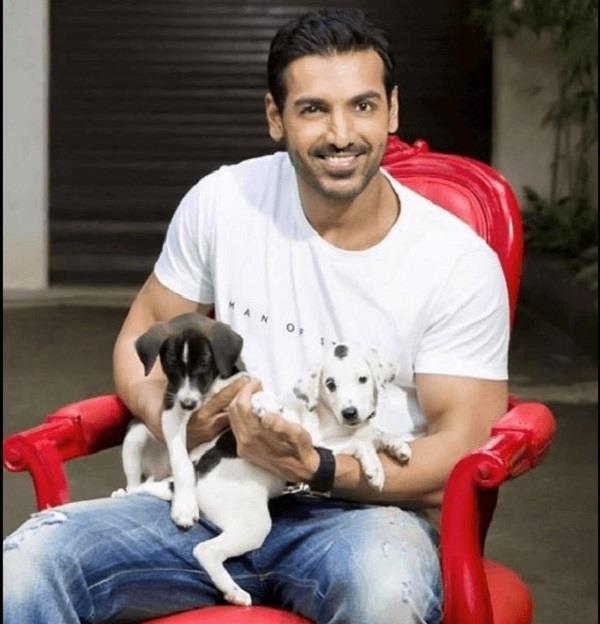 john abraham writes to cji  calls for review of sc  s directive on stray dogs
