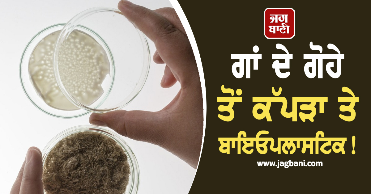 ਹੁਣ ਗਾਂ ਦੇ ਗੋਹੇ ਤੋਂ ਕੱਪੜਾ ਤੇ ਬਾਇਓਪਲਾਸਟਿਕ! ਪ੍ਰਦੂਸ਼ਣ 'ਤੇ ਲੱਗੇਗੀ ਰੋਕ ਤੇ ਬਣਾਏ ਜਾਣਗੇ ਕਈ ਉਤਪਾਦ