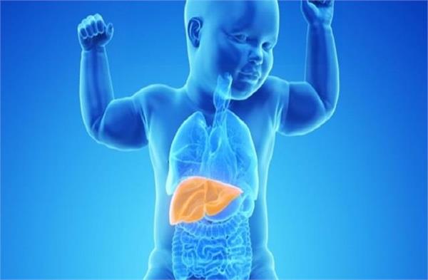 children liver parents junk food