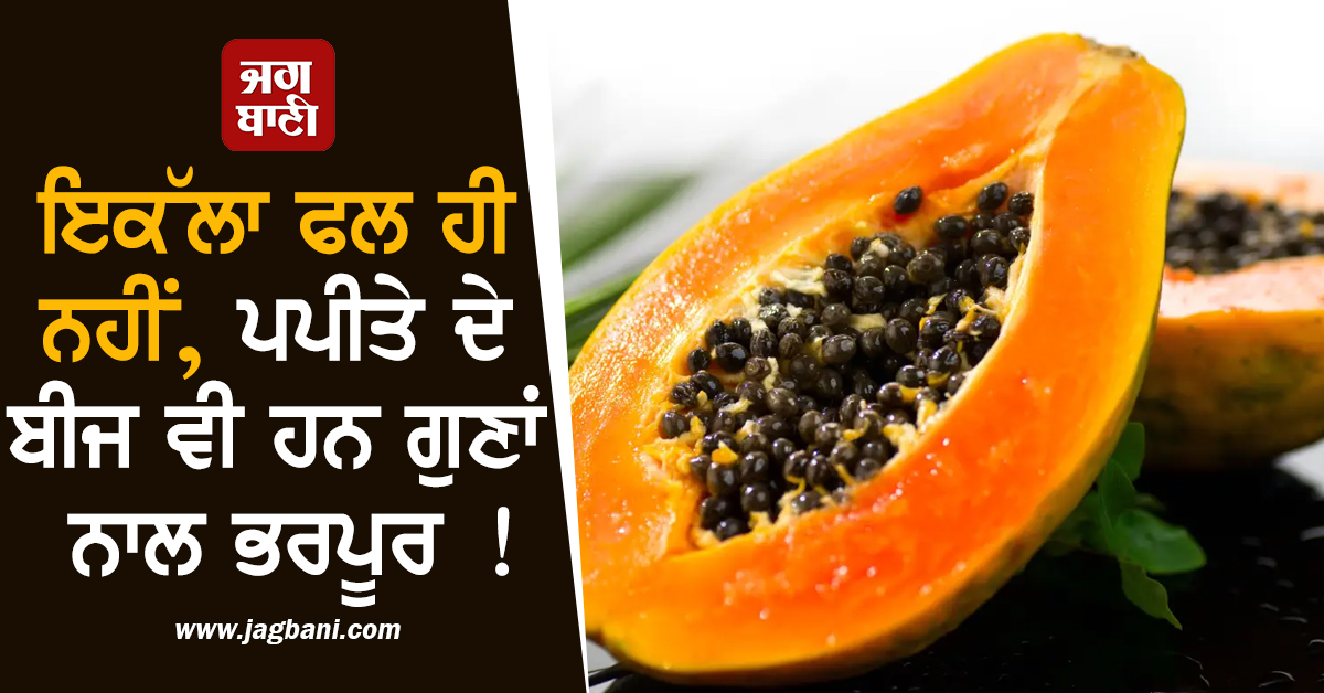 ਇਕੱਲਾ ਫਲ ਹੀ ਨਹੀਂ, ਪਪੀਤੇ ਦੇ ਬੀਜ ਵੀ ਹਨ ਗੁਣਾਂ ਨਾਲ ਭਰਪੂਰ ! ਜਾਣੋ ਕੀ ਹੈ ਖਾਣ ਦਾ ਸਹੀ ਤਰੀਕਾ