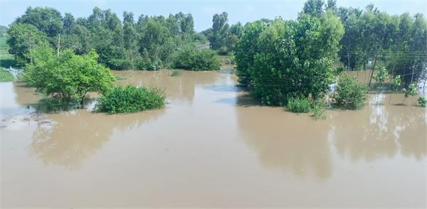 kali bein overflows due to continuous rain
