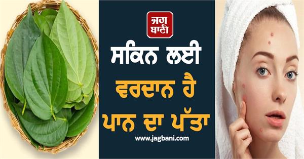 pan leaf skin pimple