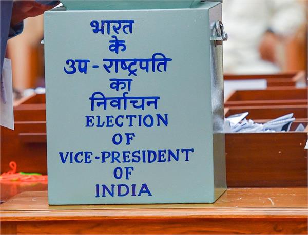 vice president election