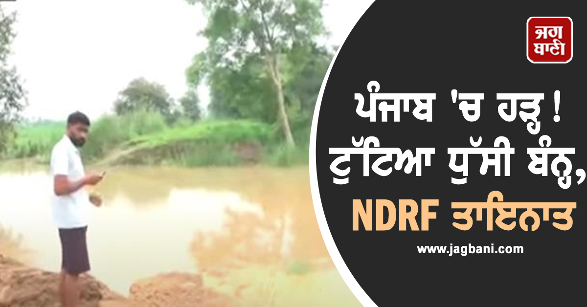 ਪੰਜਾਬ 'ਚ ਹੜ੍ਹ! ਟੁੱਟਿਆ ਧੁੱਸੀ ਬੰਨ੍ਹ, NDRF ਤਾਇਨਾਤ