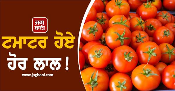 prices of vegetables