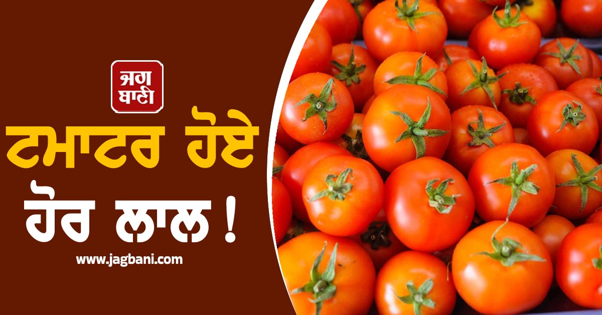 ਟਮਾਟਰ ਹੋਏ ਹੋਰ ਲਾਲ ! ਸਬਜ਼ੀਆਂ ਦੇ ਭਾਅ ਜਾਣ ਉੱਡਣਗੇ ਹੋਸ਼, ਦੇਖੋਂ ਰੇਟ ਲਿਸਟ