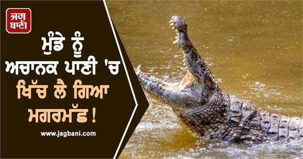 crocodile dragged a teenager into water