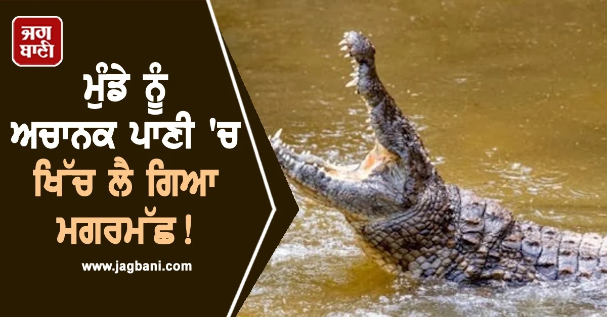 ਮੁੰਡੇ ਨੂੰ ਅਚਾਨਕ ਪਾਣੀ 'ਚ ਖਿੱਚ ਲੈ ਗਿਆ ਮਗਰਮੱਛ! ਸਹਿਮ 'ਚ ਪੂਰਾ ਇਲਾਕਾ