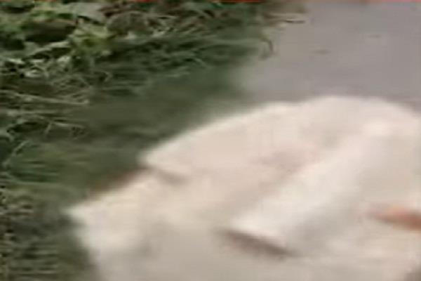 attempted sacrilege in bathinda