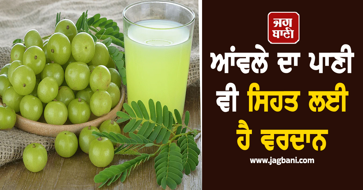 ਆਂਵਲੇ ਦਾ ਪਾਣੀ ਵੀ ਸਿਹਤ ਲਈ ਹੈ ਵਰਦਾਨ, ਜਾਣੋ ਸੇਵਨ ਕਰਨ ਦਾ ਸਹੀ ਤਰੀਕਾ