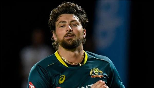 tim david fined for violating icc code of conduct