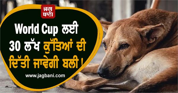 3 million dogs the world cup 