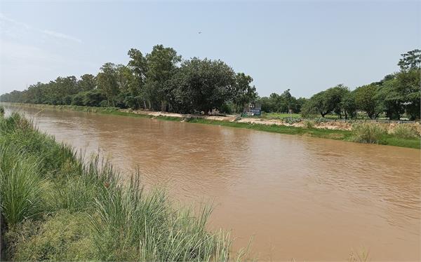 ludhiana boy canal