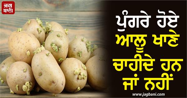sprouted potatoes health
