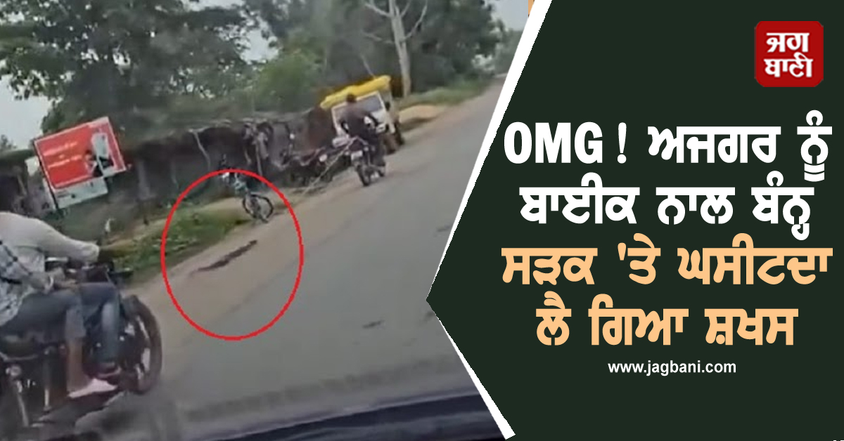OMG! ਅਜਗਰ ਨੂੰ ਬਾਈਕ ਨਾਲ ਬੰਨ੍ਹ ਕੇ ਸੜਕ 'ਤੇ ਘਸੀਟਦਾ ਲੈ ਗਿਆ ਸ਼ਖਸ, ਖੌਫਨਾਕ ਵੀਡੀਓ ਵਾਇਰਲ