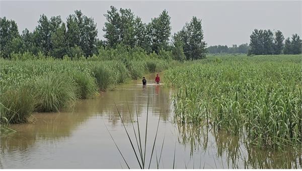 punjab under threat of floods