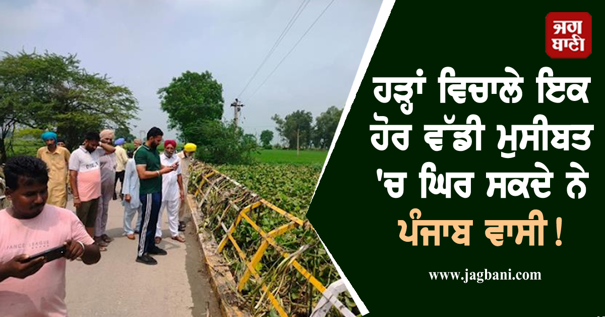 ਹੜ੍ਹਾਂ ਵਿਚਾਲੇ ਇਕ ਹੋਰ ਵੱਡੀ ਮੁਸੀਬਤ 'ਚ ਘਿਰ ਸਕਦੇ ਨੇ ਪੰਜਾਬ ਵਾਸੀ ! ਇਹ ਪੁਲ ਰੁੜ੍ਹਨ ਦਾ ਬਣਿਆ ਵੱਡਾ ਖ਼ਤਰਾ