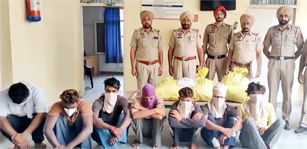 7 arrested