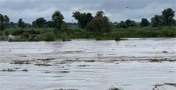 the dhussi dam of the sutlej river is being hit 