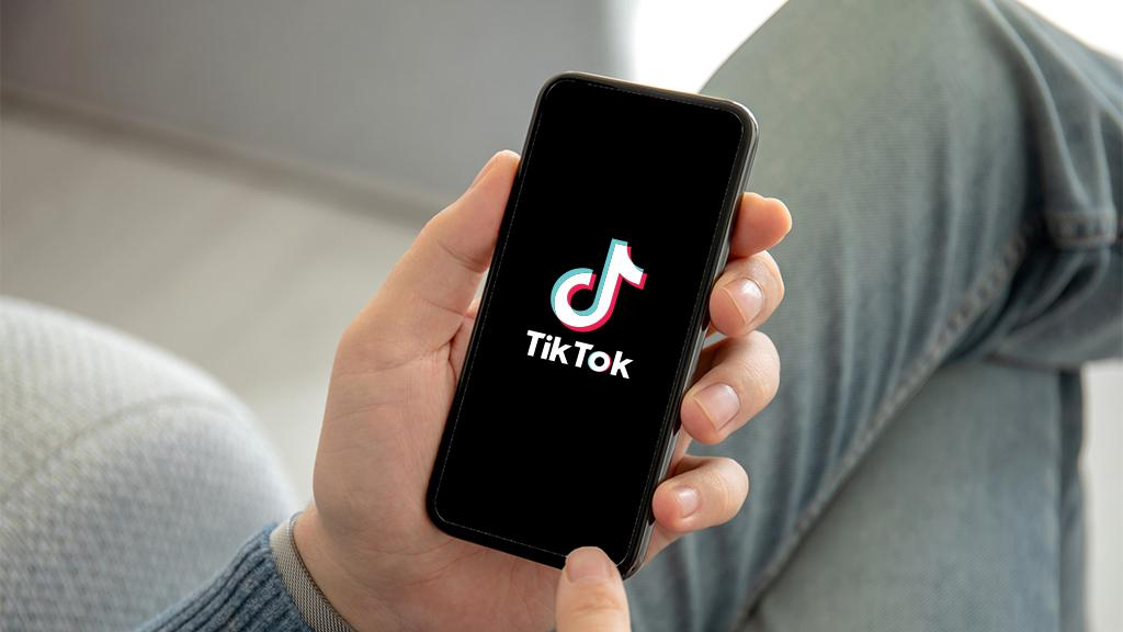 ਭਾਰਤ ''ਚ ਫਿਰ ਸ਼ੁਰੂ ਹੋਵੇਗਾ TikTok! ਵੈੱਬਸਾਈਟ ਹੋਈ Active...