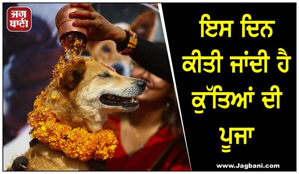 dogs are worshipped on this day