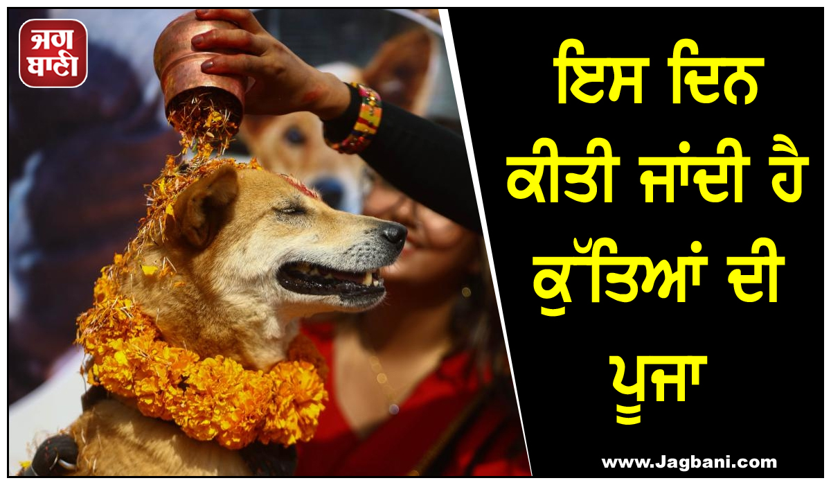 ਇਸ ਦਿਨ ਕੀਤੀ ਜਾਂਦੀ ਹੈ ਕੁੱਤਿਆਂ ਦੀ ਪੂਜਾ, ਜਾਣੋ ਕੀ ਹੈ ਕੁਕੁਰ ਤਿਹਾਰ ?
