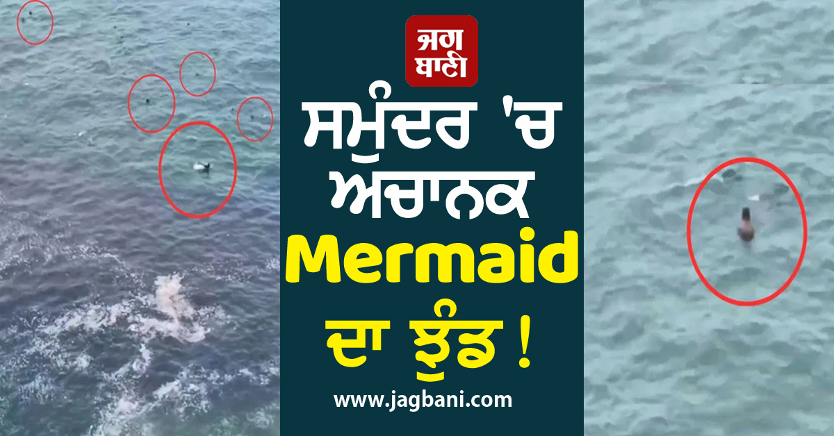 ਸਮੁੰਦਰ 'ਚ ਅਚਾਨਕ Mermaid ਦਾ ਝੁੰਡ! ਵਾਇਰਲ ਵੀਡੀਓ ਨੇ ਇੰਟਰਨੈੱਟ 'ਤੇ ਮਚਾਈ ਤਰਥੱਲੀ