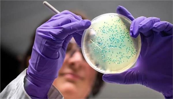 ai designs antibiotics for gonorrhea and mrsa superbugs