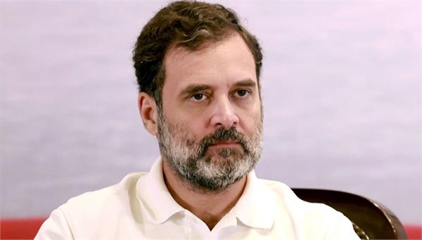 vote theft  bihar  rahul gandhi